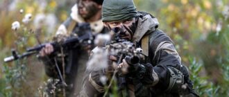 Риск специального назначения