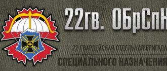22-я отдельная гвардейская бригада специального назначения
