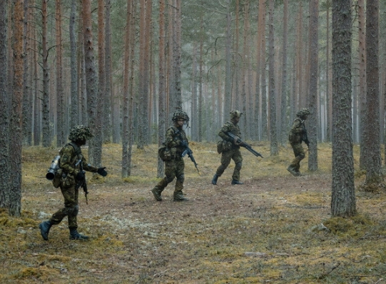 Учения STEADFAST DEFENDER 24