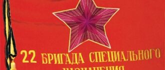 22 отдельная гвардейская бригада специального назначения
